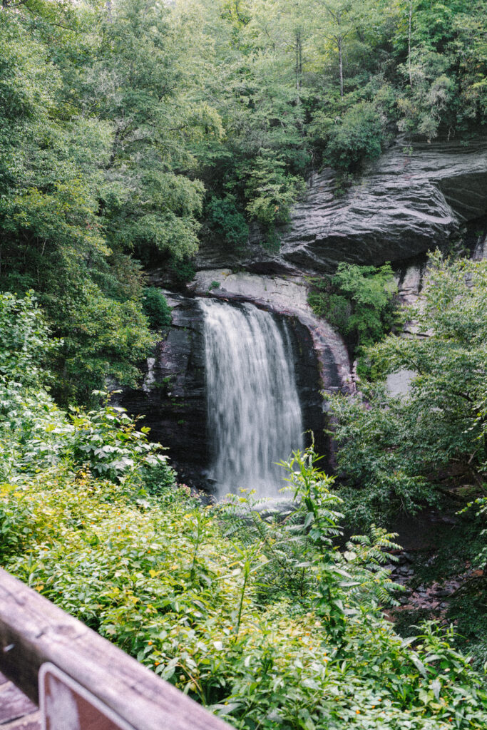 Elopement at Looking Glass Falls 