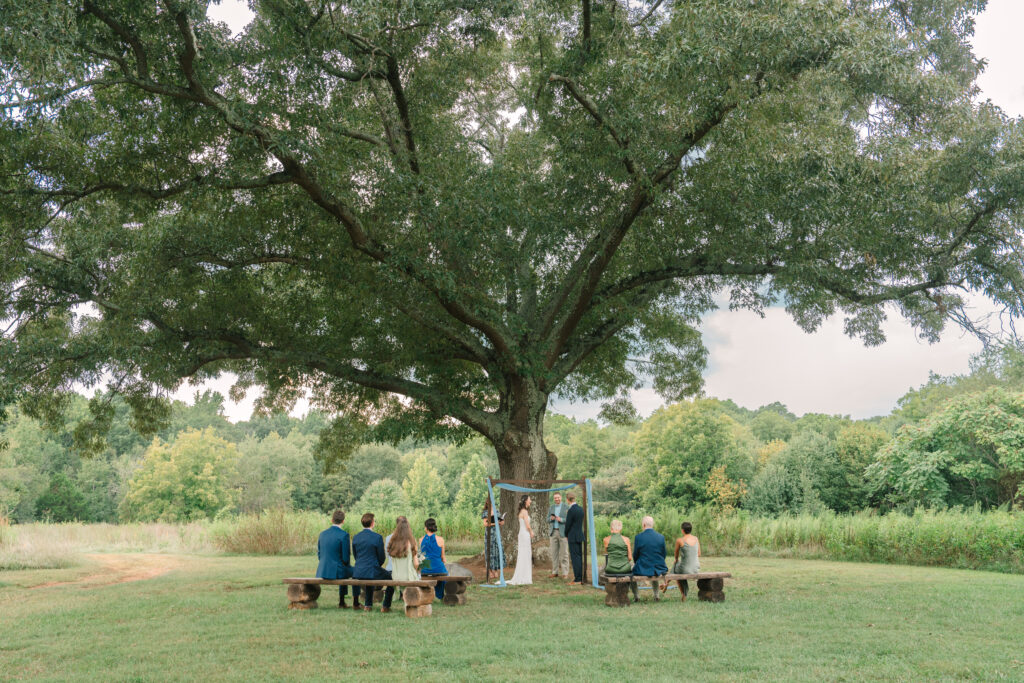 Intimate Wedding