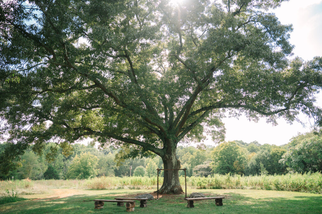 Lake Conestee Nature Park