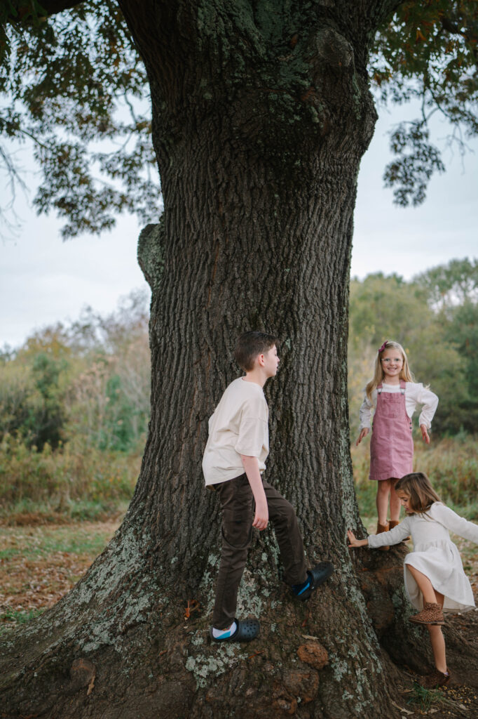 Family Session in Greenville SC Park