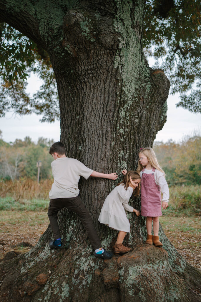 Family Session in Greenville SC Park