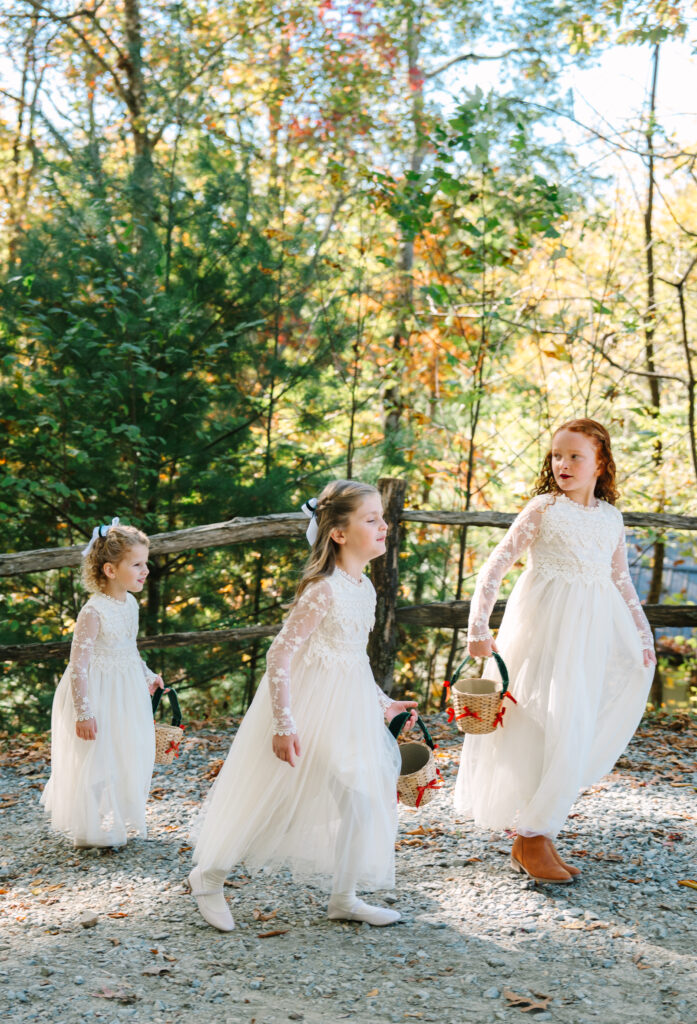 Wedding at Nantahala 