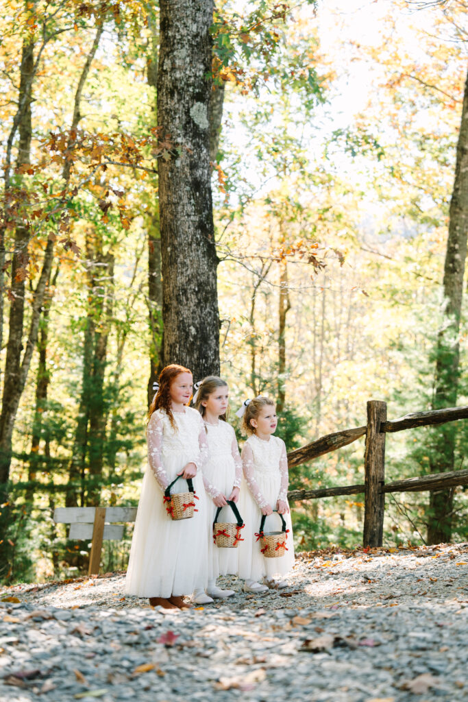 Wedding at Nantahala 