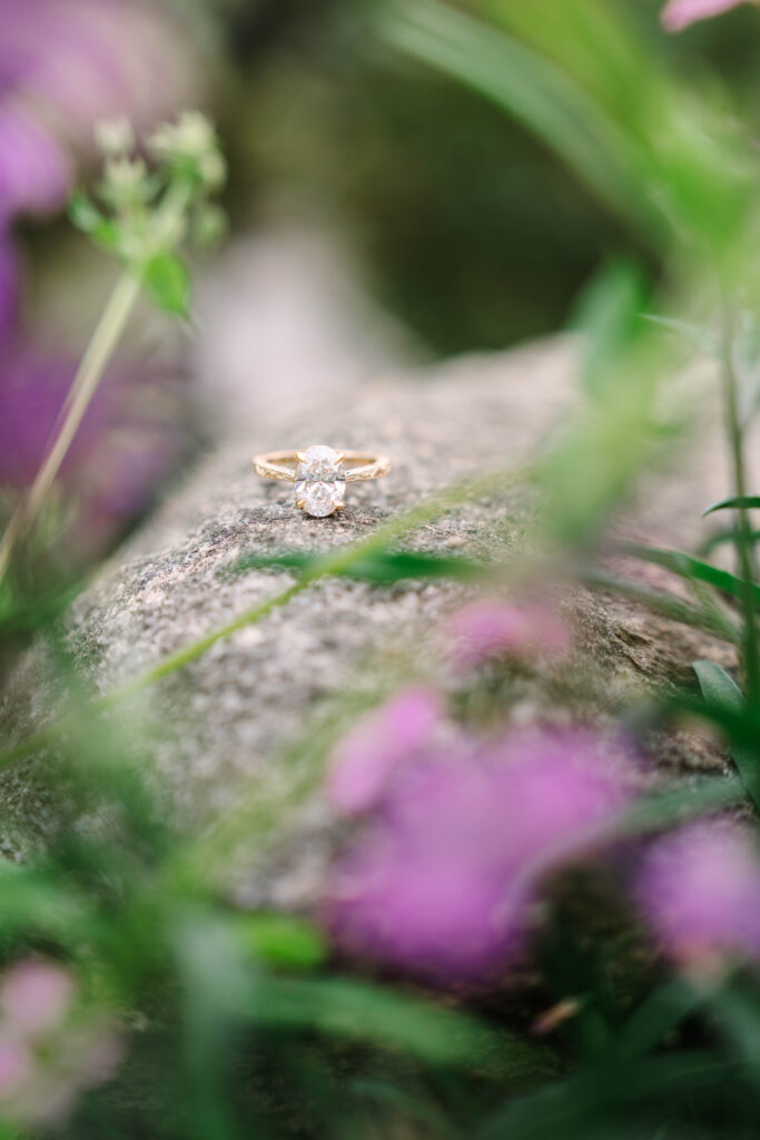 Greenville Engagement Session 